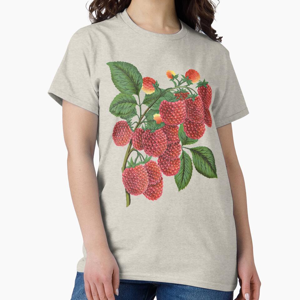 Cute Raspberries by Topmaxdesign