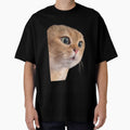 Cat boyfriend meme, 2 cat couple meme by Prime_Store