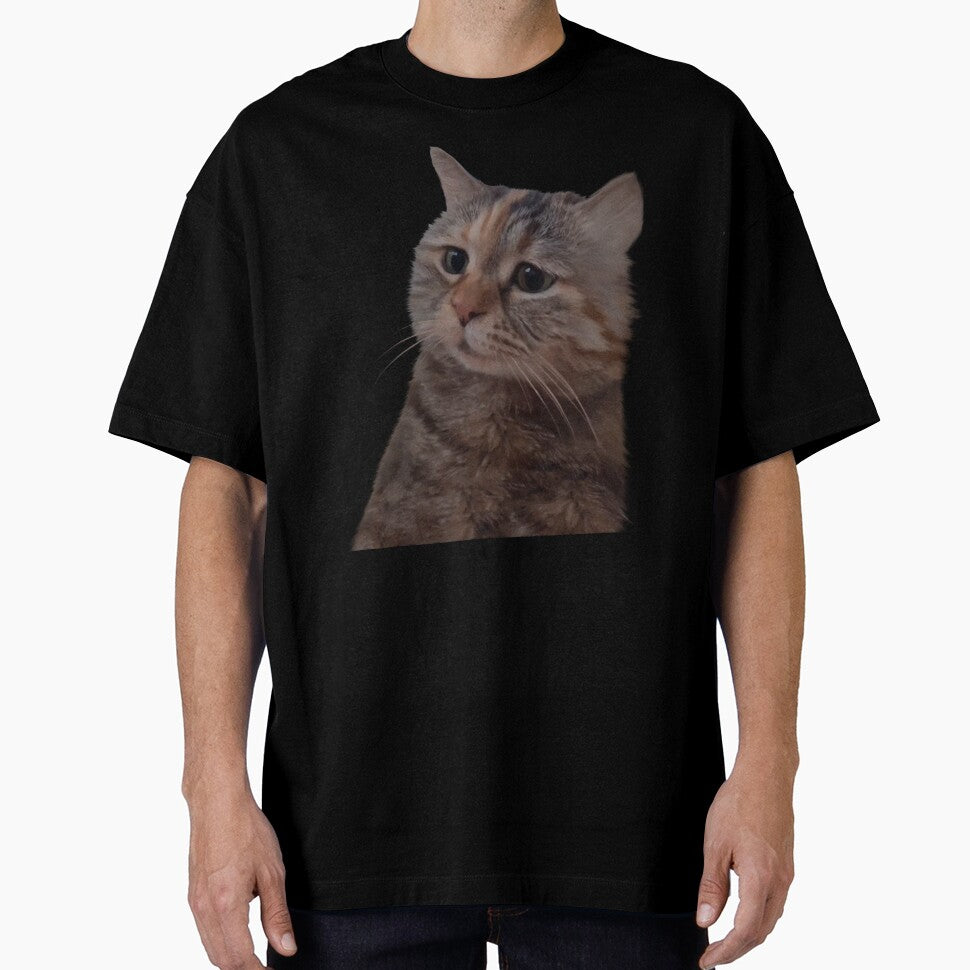 Sad kitty cat Meme by Prime_Store