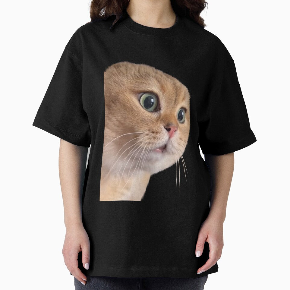 Cat boyfriend meme, 2 cat couple meme by Prime_Store