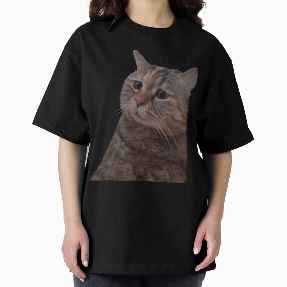 Sad kitty cat Meme by Prime_Store
