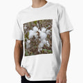 White fluff cotton plants on blurred background. Greece by EG Creativity Art