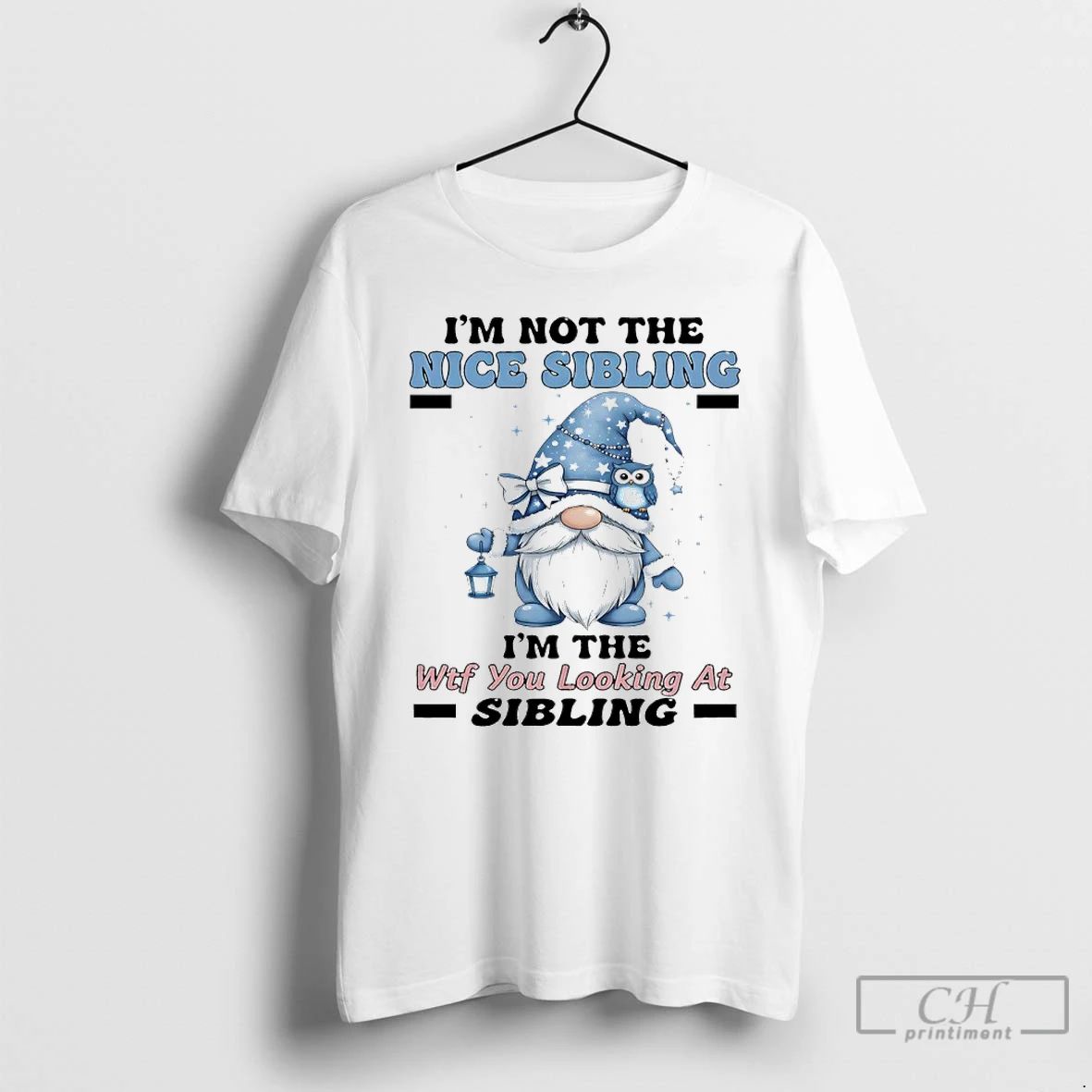 Classic Gnome Im Not The Nice Sibling Im The Wft You Looking At Sibling