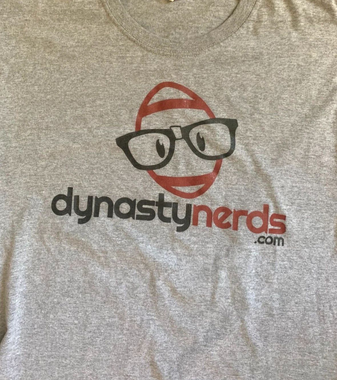 Men's T Shirt M Dynasty Nerds Gray Jerzees