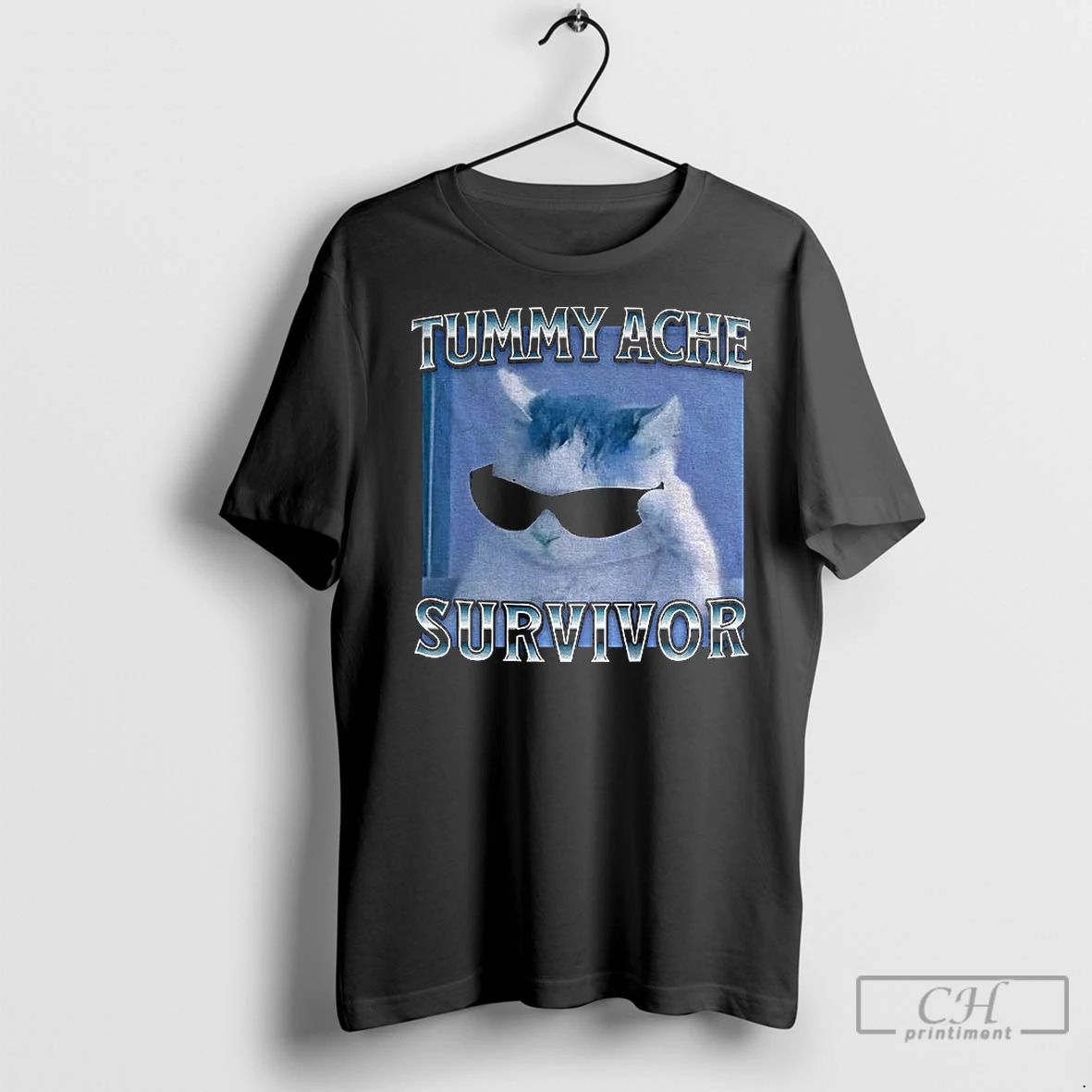 Classic Tummy Ache Survivor Funny Cat Meme