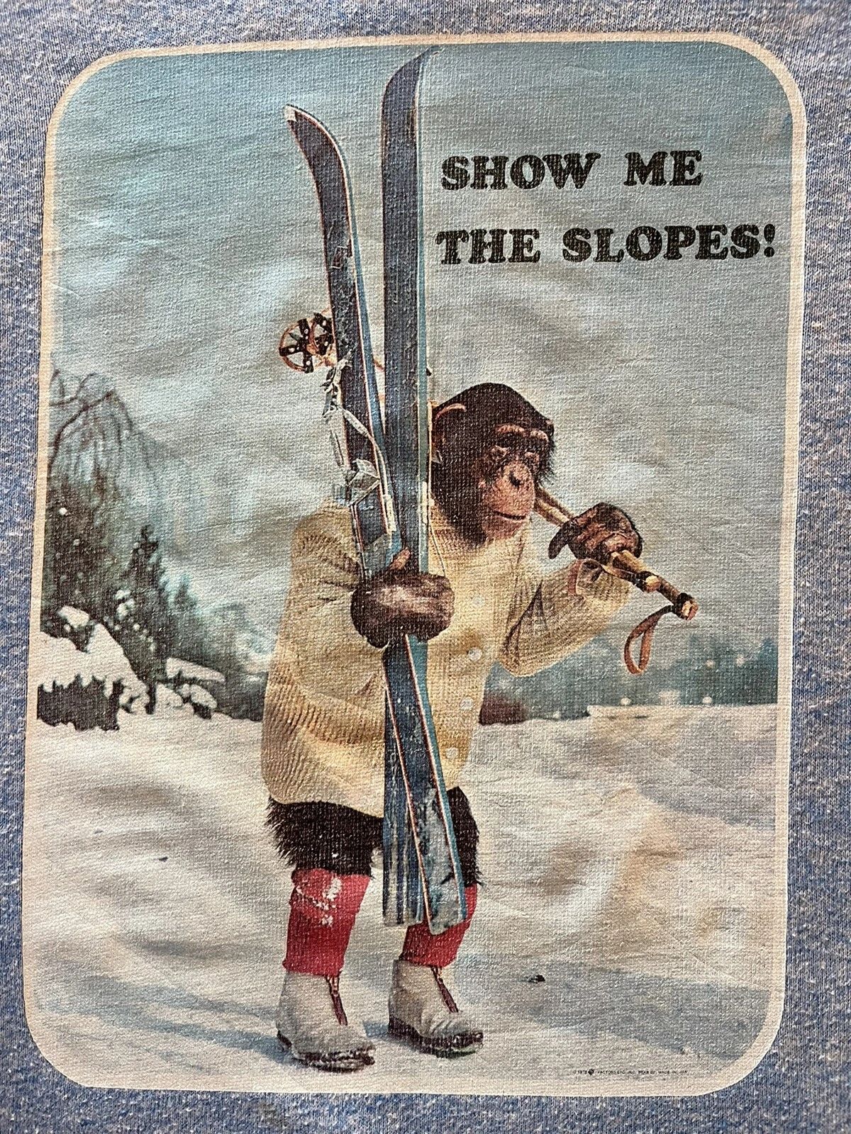 1978 Show Me The Slopes Skiing Vintage Ringer Graphic T Shirt Size Large  Blue