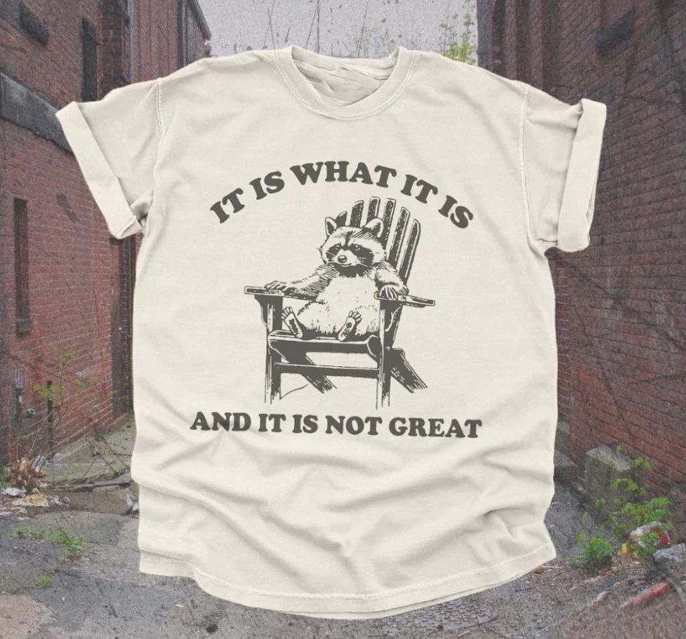 Vintage 90s Funny Racoon T-Shirt Retro Y2K Humor Meme Tee, Trendy Cute Boho