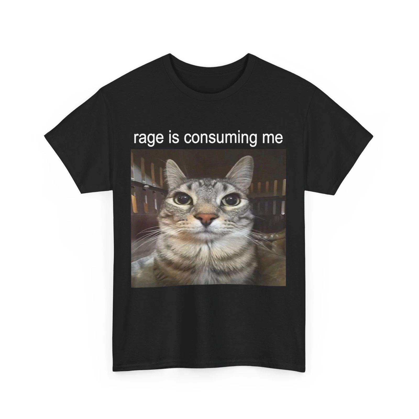 Rage Is Consuming Me Silly Staring Cat Meme T-Shirt