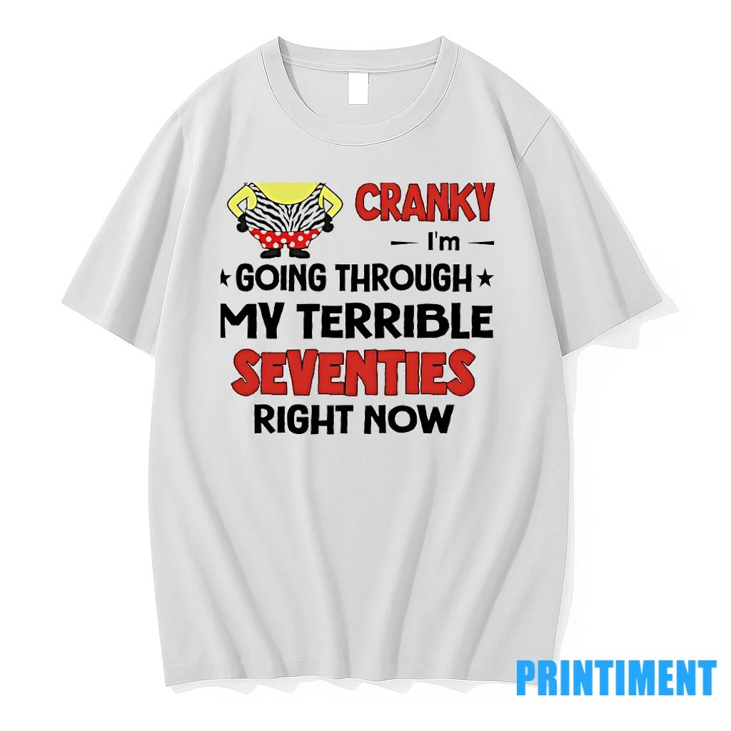 Minion Sorry I Am Cranky Im Going Through My Terrible Seventies Right Now Tshirts Sweater