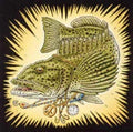 Ray Troll Bling Cod pun - Ling Cod New fishing adult t-shirt 2X, XL, L, S cotton