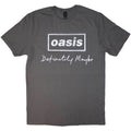 Oasis T-Shirt Definitely Maybe Noel Liam Gallagher Official Band Logo New Grey