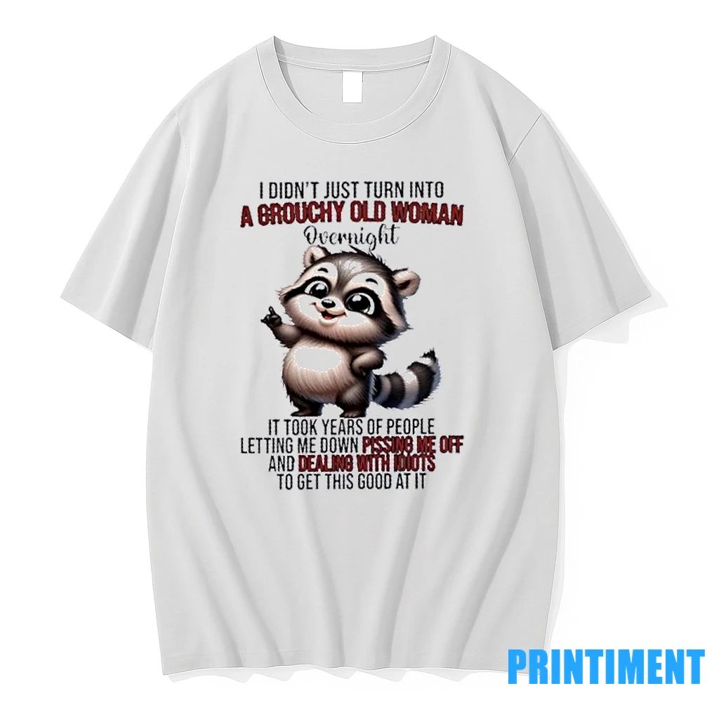 Raccoon I Didnt Just Turn Into A Grouchy Old Woman Overnight It Took Years Of