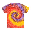 Festival Tie Dye T-Shirts Adult & Kids Sizes Cotton Colortone