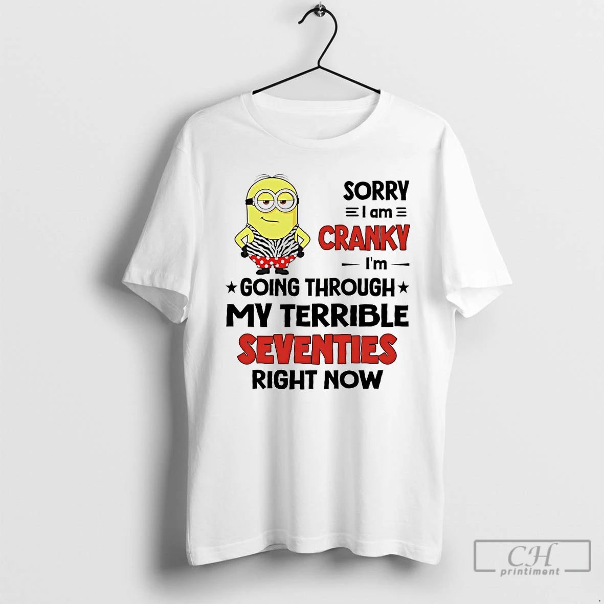 Classic Minion Sorry I Am Cranky Im Going Through My Terrible Seventies Right Now