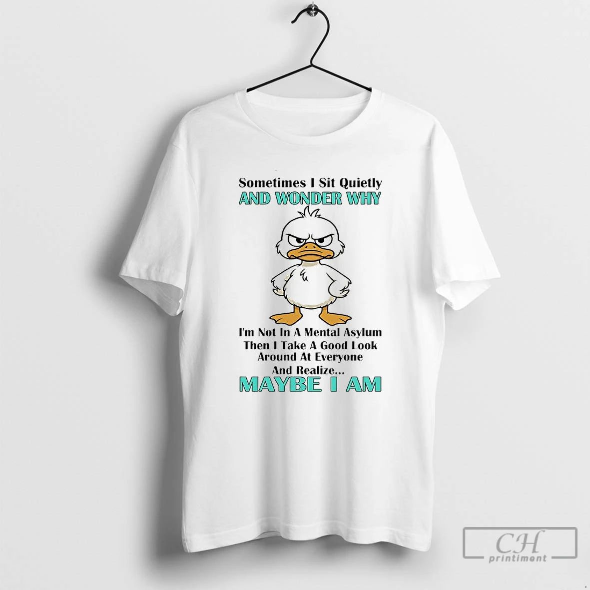 Classic Duck Sometimes I Sit Quietly And Wonder Why Im Not In A Mental Asylum