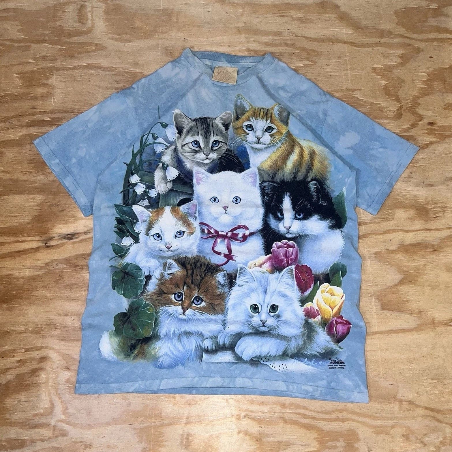 Vintage 2000 Y2K Made In USA The Mountain Cute Kittens T-shirt Grail Size M