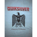 Y2K Quiksilver Ringer T Shirt XL Blue Eagle Surf Skate Tee