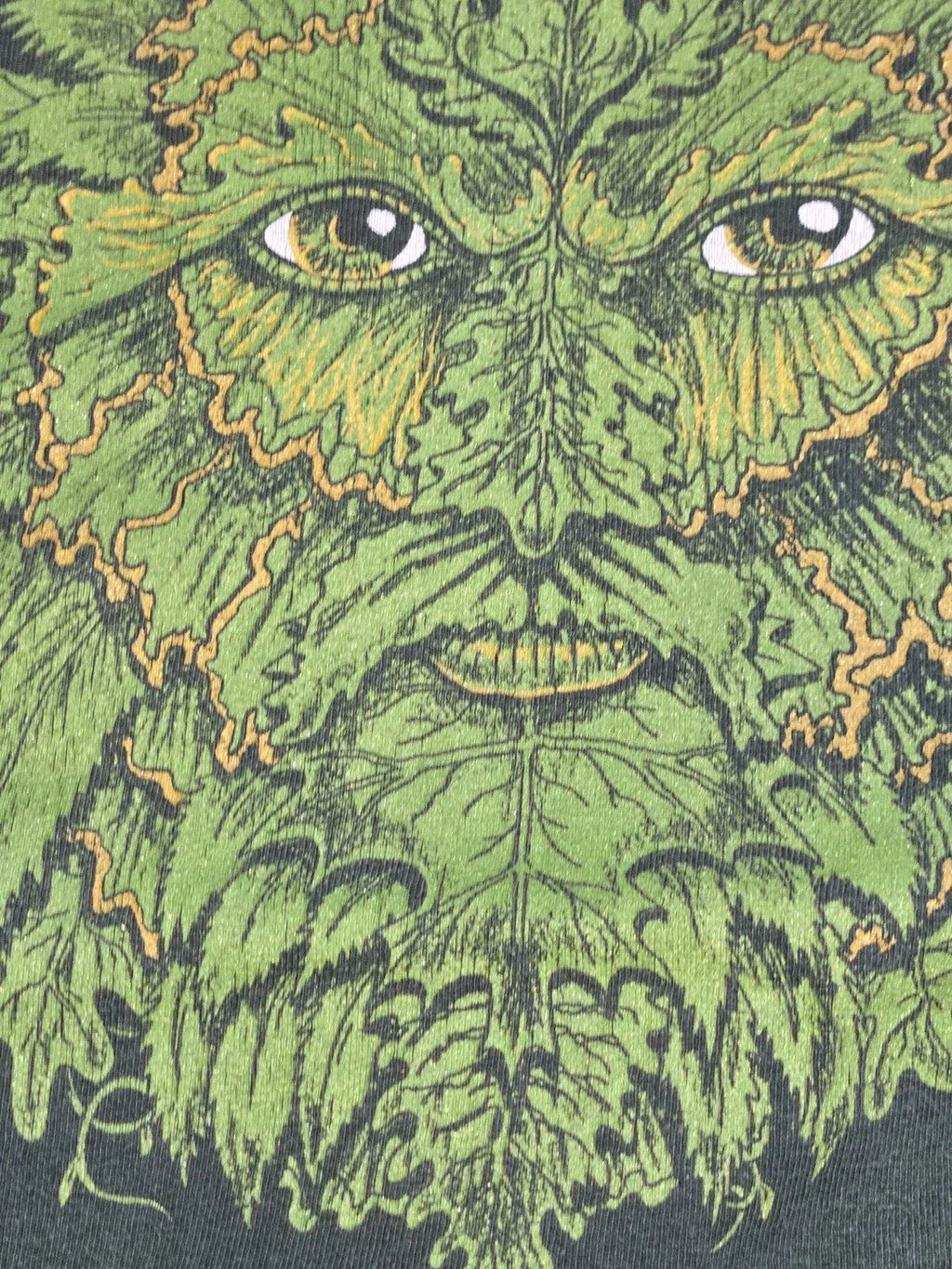 Fruit Of Loom Green Graphic Shirt Fantasy Folklore Nature Art Mens L (READ)