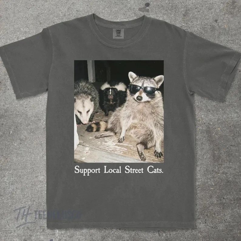 Support Local Street Cats Funny Comfort Tee Cat Lover Gift Men Women