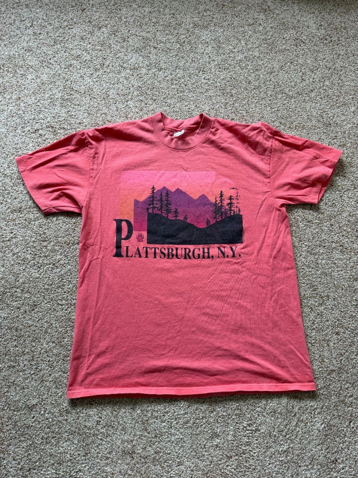 Vintage 1990s Plattsburgh New York Graphic Nature Outdoors T Shirt Size XL