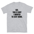 See This is Why I Wanted to Stay Home shirt Funny Introvert T Shirt