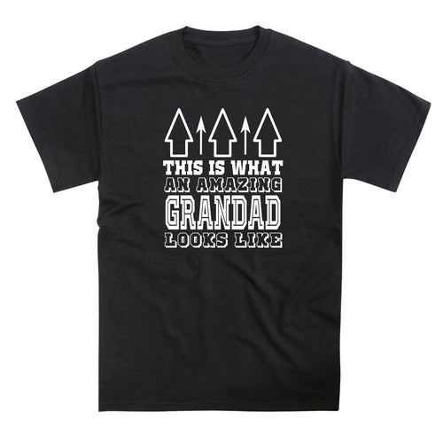 Amazing Grandad T-Shirt (Birthday Christmas Anniversary Gift)